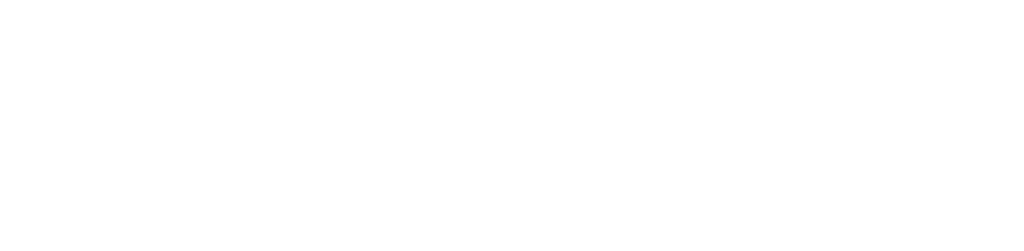 Logo Orion blanc